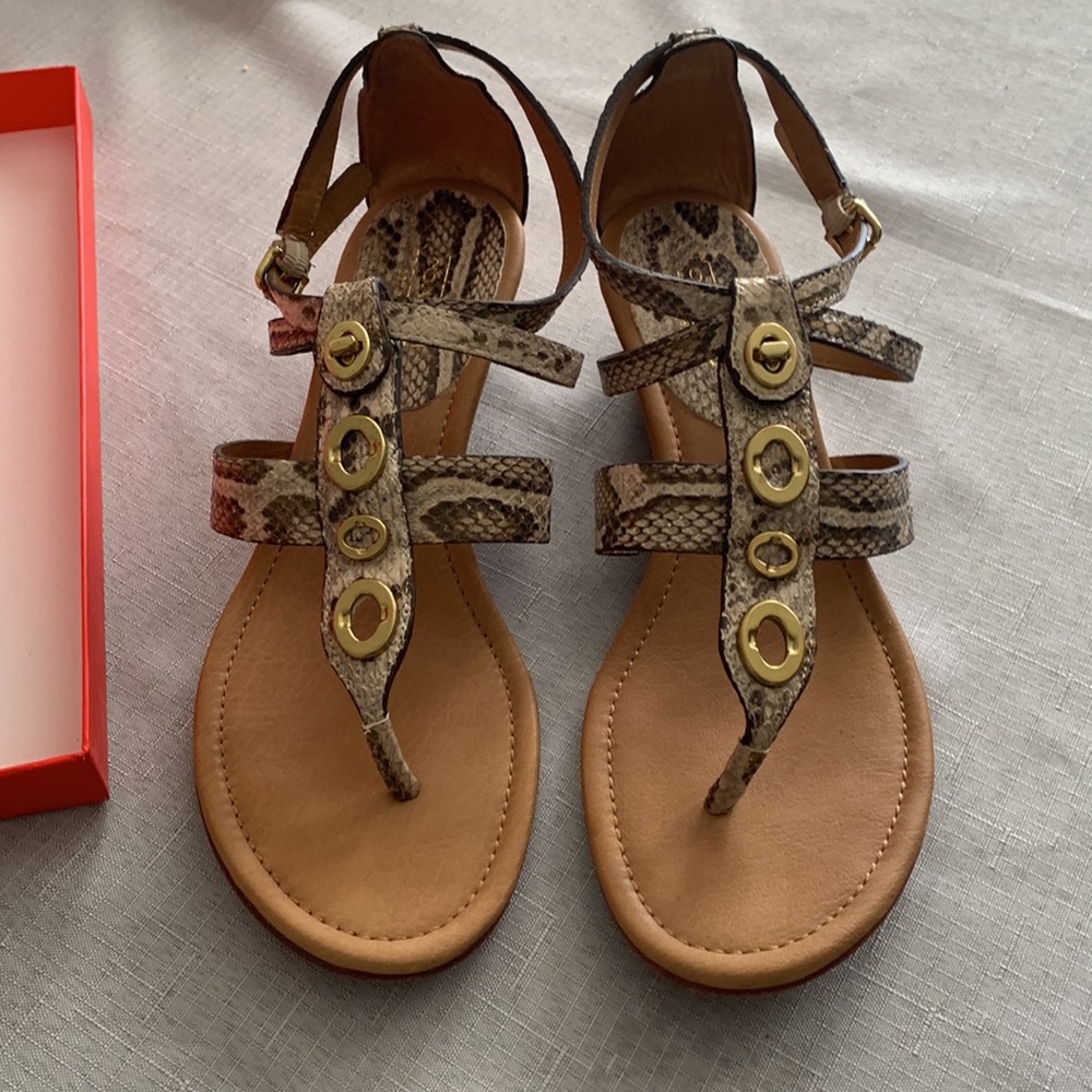 Coach Shoe Vicky Printed Python Natural. - image 2